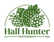 Hall Hunter